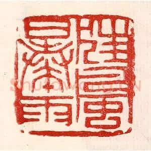 民国 王王孙篆 印谱《狂风暴雨》篆刻印章作品图片欣赏