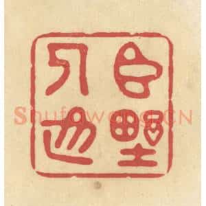 清代 华文彬篆 印谱《臣野人也》篆刻印章作品图片欣赏