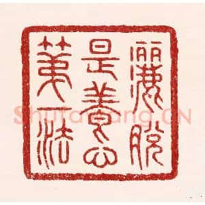 清代 吴苍雷篆 印谱《洒脱是养心第一法》篆刻印章作品图片欣赏