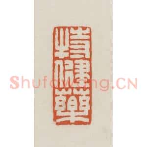 民国 王禔辑并刻 印谱《特健药》篆刻印章作品图片欣赏