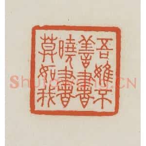 民国 王禔辑并刻 印谱《吾虽不善书晓书莫如我》篆刻印章作品图片欣赏