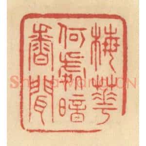 清代 范文成篆 印谱《梅花何处暗香闻》篆刻印章作品图片欣赏