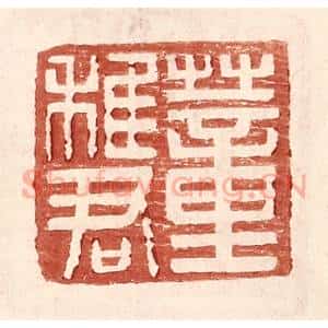 明 王常辑 印谱《董稚君》篆刻印章作品图片欣赏