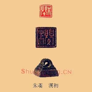 朱嬰,婴