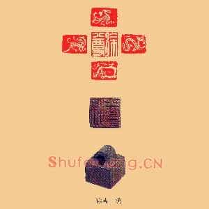 徐尊