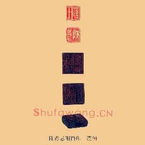 士